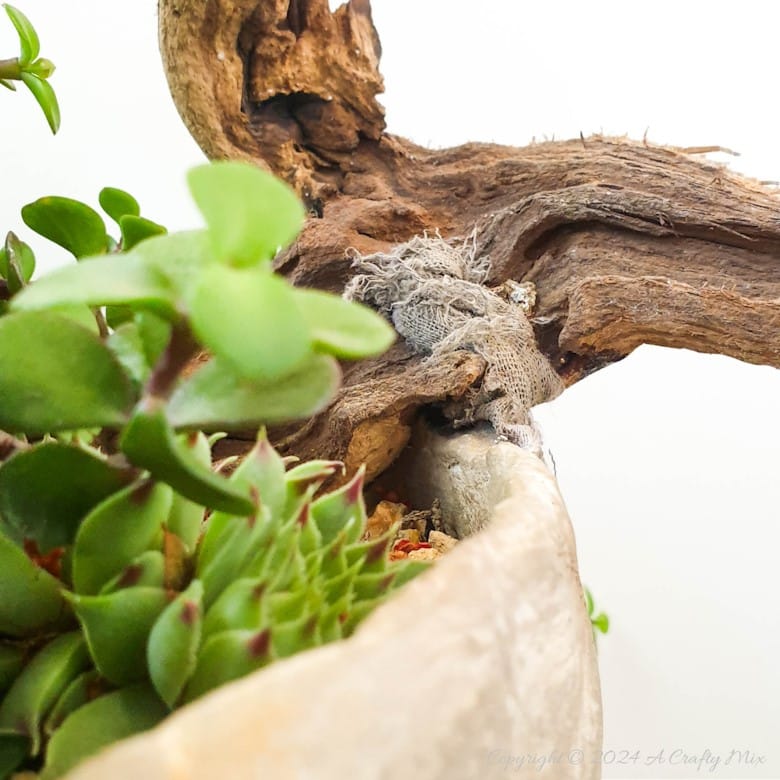 Looking for a unique way to spruce up your garden or patio? Join us as we show you how to get creative with a balloon and make this DIY stone planter with a vine handle! Combining art, nature, and a touch of hand-crafted whimsy, this one-of-a-kind project is sure to become your favorite garden accessory. And you&rsquo;ll get the added satisfaction of knowing you made it yourself.