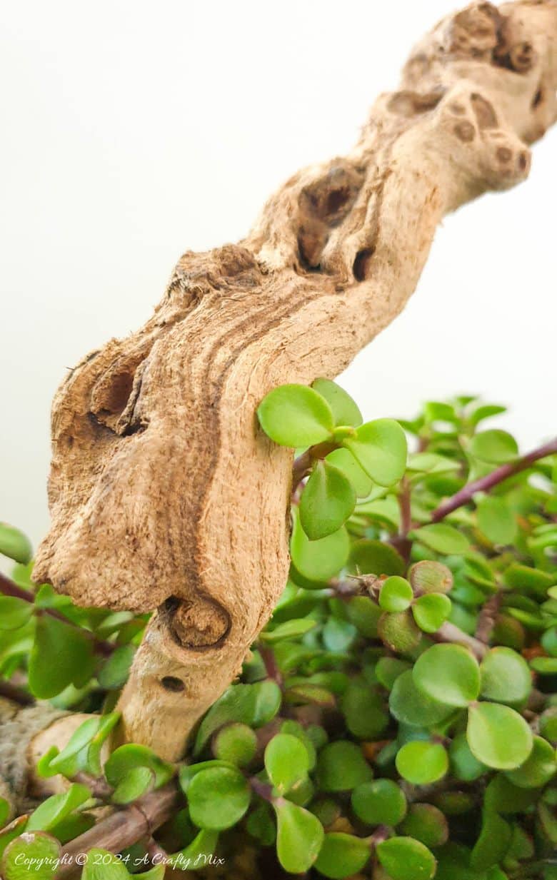 Looking for a unique way to spruce up your garden or patio? Join us as we show you how to get creative with a balloon and make this DIY stone planter with a vine handle! Combining art, nature, and a touch of hand-crafted whimsy, this one-of-a-kind project is sure to become your favorite garden accessory. And you&rsquo;ll get the added satisfaction of knowing you made it yourself.