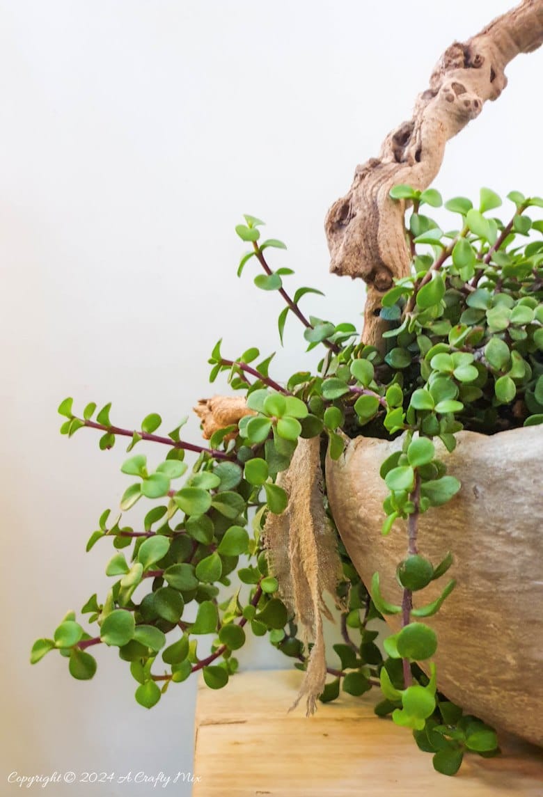 Looking for a unique way to spruce up your garden or patio? Join us as we show you how to get creative with a balloon and make this DIY stone planter with a vine handle! Combining art, nature, and a touch of hand-crafted whimsy, this one-of-a-kind project is sure to become your favorite garden accessory. And you&rsquo;ll get the added satisfaction of knowing you made it yourself.