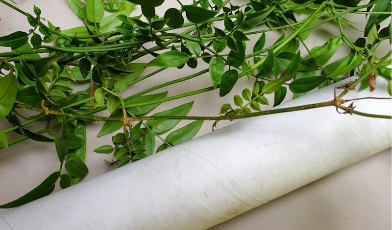 What you need to make vine napkin rings