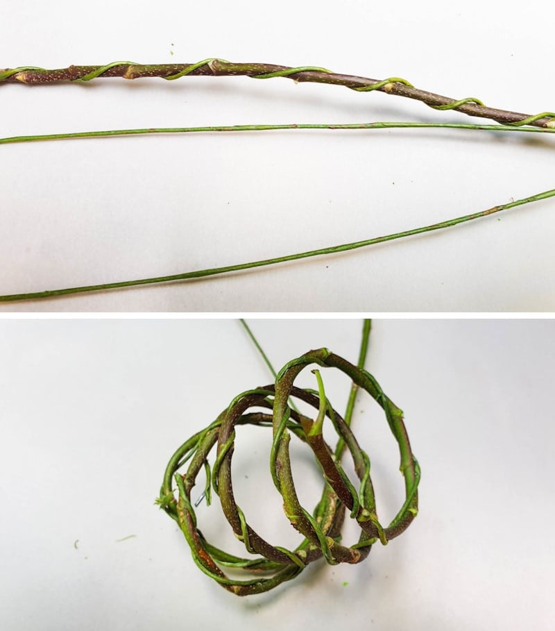 Wrap florist wire around the vines and twist them around an empty toilet roll
