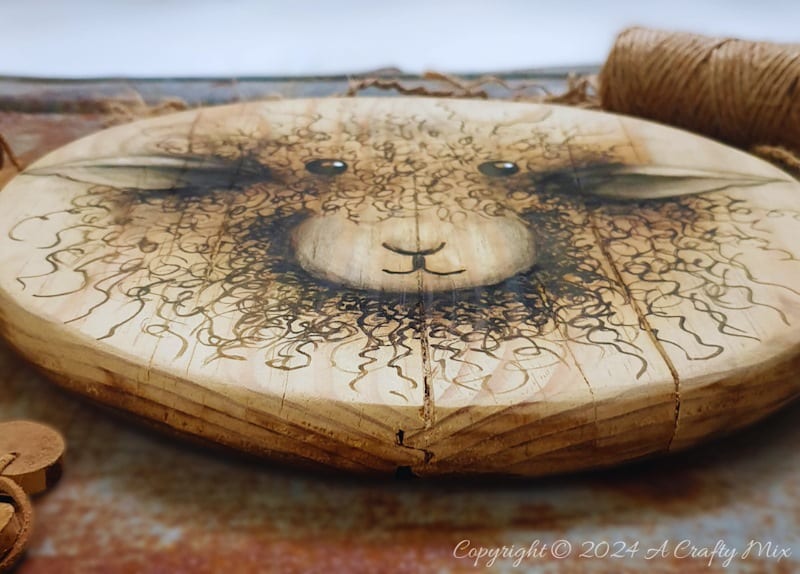 Ready to explore the art of decorating wood by burning a design on the surface? Get our top tips for using a scorch pen marker to create one-of-a-kind home decor pieces. From bold designs to delicate details, this versatile little pen will take your DIY projects to a whole new level. It&rsquo;s easy, fun, and budget-friendly. Plus you won&rsquo;t burn your fingers either. 