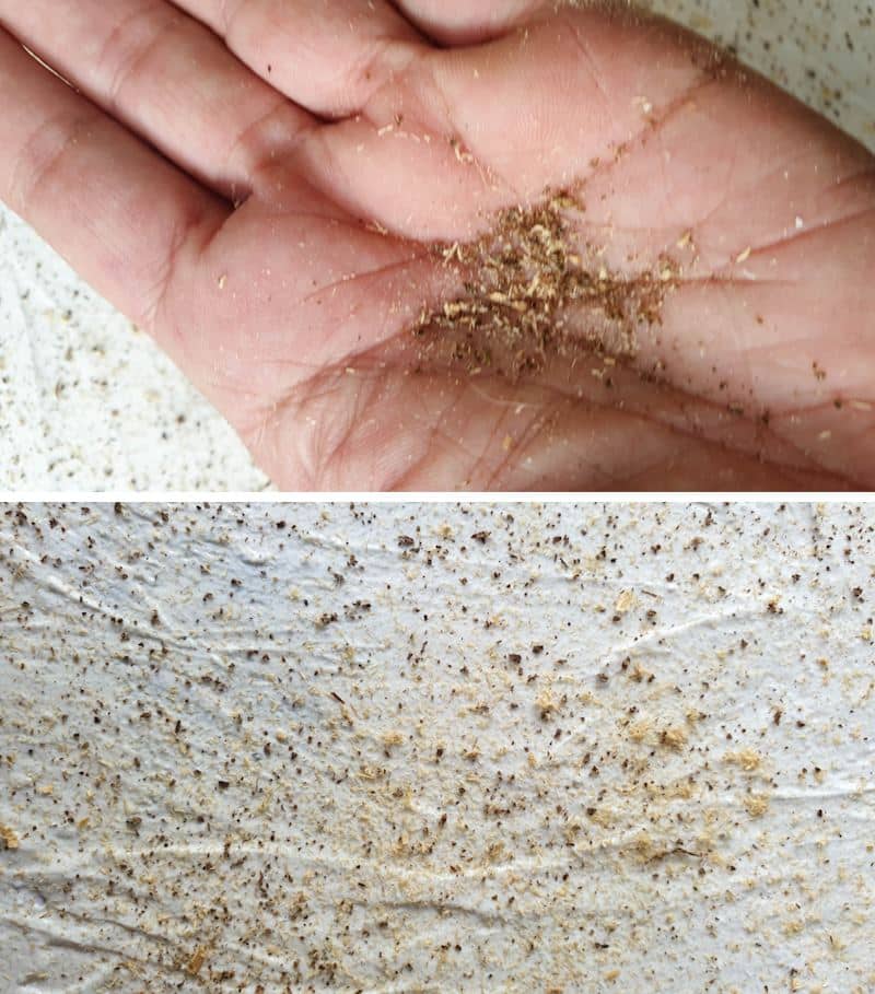 Save the tea leaves and mix them with sawdust to add texture to the raised stencil