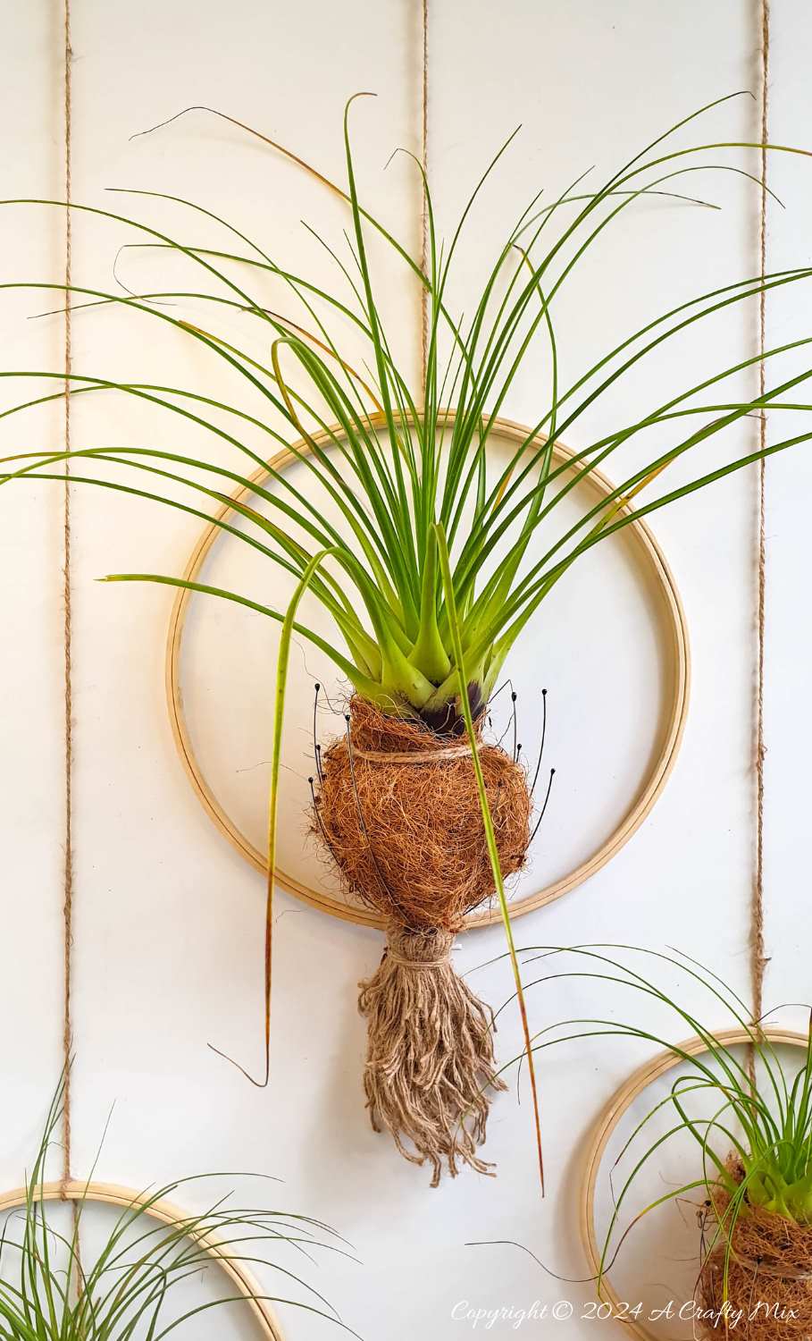 Transform your home into a serene oasis with this upcycled air plant holder that turns ordinary head scratchers into stylish spa-worthy displays. Perfect for adding a touch of tranquility and zen to any room. They&rsquo;re fun and easy to make and this step-by-step tutorial will show you how. 