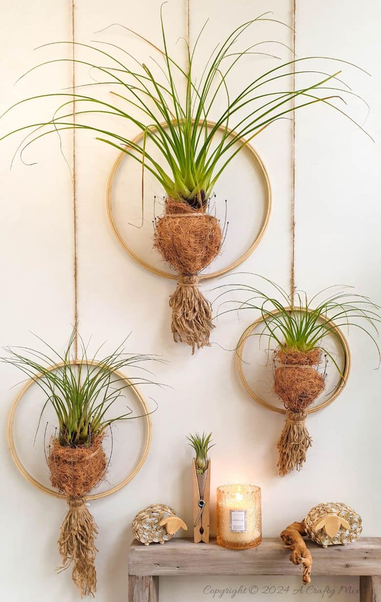 Transform your home into a serene oasis with this upcycled air plant holder that turns ordinary head scratchers into stylish spa-worthy displays. Perfect for adding a touch of tranquility and zen to any room. They’re fun and easy to make and this step-by-step tutorial will show you how.