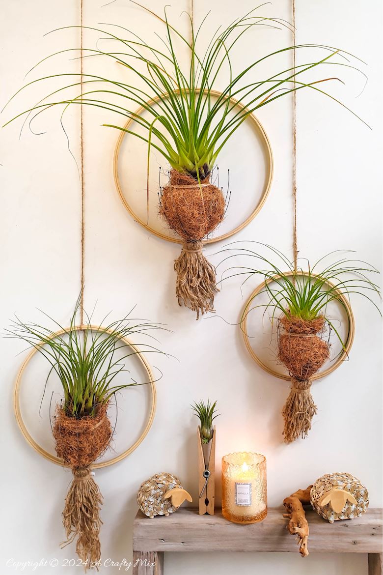 Transform your home into a serene oasis with this upcycled air plant holder that turns ordinary head scratchers into stylish spa-worthy displays. Perfect for adding a touch of tranquility and zen to any room. They&rsquo;re fun and easy to make and this step-by-step tutorial will show you how. 