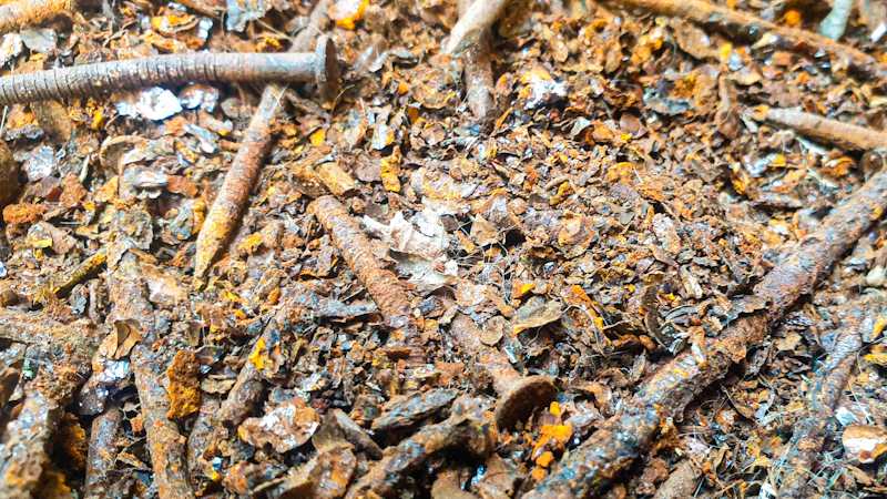 Our collection of rusty nails that we use to make or stain muti