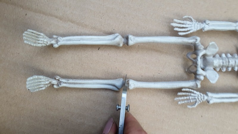 Cut the skeleton off at the knees
