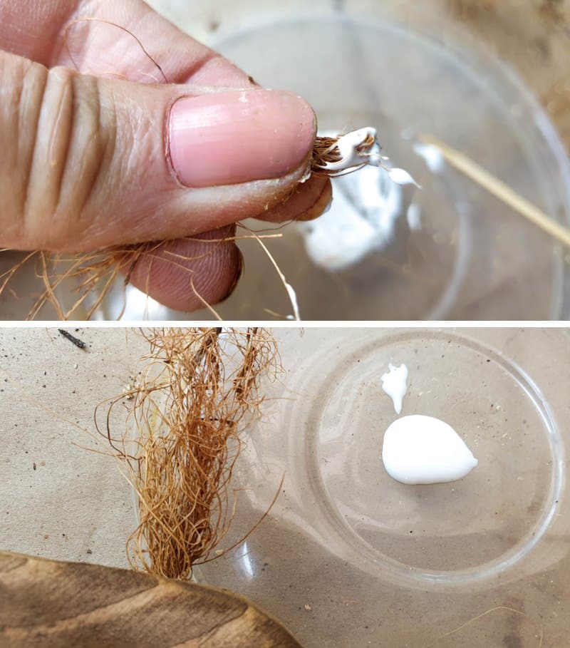Put a small dollop of glue on the twisted ends