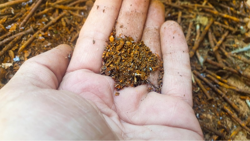 A collection of "rust dust"