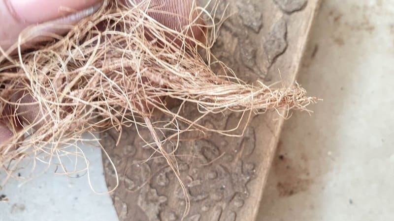Use coconut fiber to make the mane and tail for the rusty horses