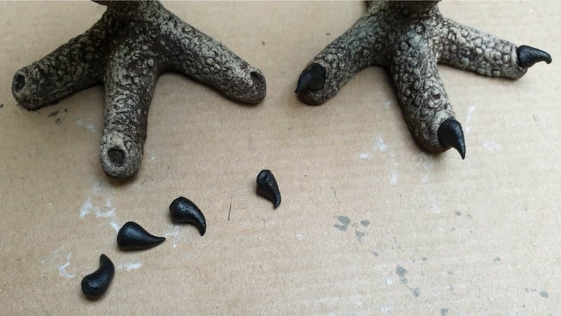 Glue on clay toenails