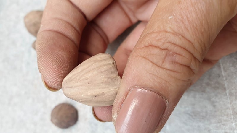 Neutral eyeshadow on the baked clay