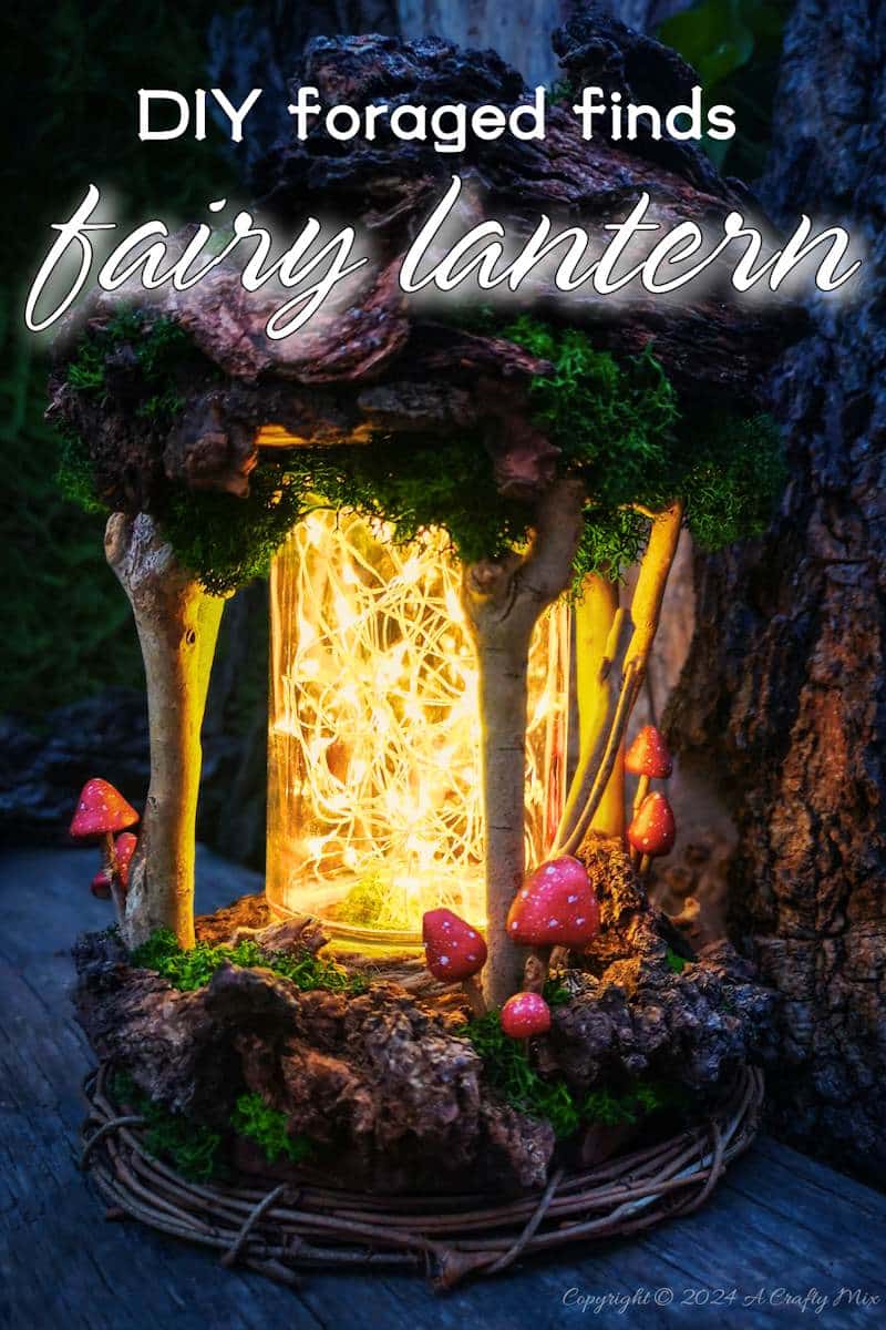 Get ready to enter a world of enchantment as we craft a one-of-a-kind DIY fairy lantern using foraged finds. We&rsquo;ll show you how to build a whimsical and enchanting lantern that captures the essence of the forest from scratch. Whether you're looking to add a little magic to your decor or just get closer to nature, this simple tutorial will take you through the entire process.