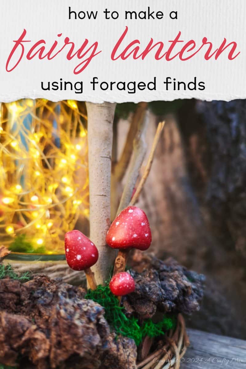 Get ready to enter a world of enchantment as we craft a one-of-a-kind DIY fairy lantern using foraged finds. We&rsquo;ll show you how to build a whimsical and enchanting lantern that captures the essence of the forest from scratch. Whether you're looking to add a little magic to your decor or just get closer to nature, this simple tutorial will take you through the entire process.