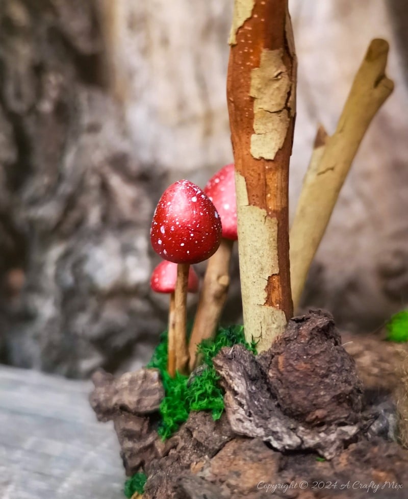 Get ready to enter a world of enchantment as we craft a one-of-a-kind fairy lantern using foraged finds. We&rsquo;ll show you how to build a whimsical and enchanting lantern that captures the essence of the forest from scratch. Whether you're looking to add a little magic to your decor or just get closer to nature, this simple tutorial will take you through the entire process.