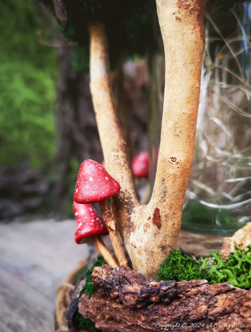 Get ready to enter a world of enchantment as we craft a one-of-a-kind fairy lantern using foraged finds. We&rsquo;ll show you how to build a whimsical and enchanting lantern that captures the essence of the forest from scratch. Whether you're looking to add a little magic to your decor or just get closer to nature, this simple tutorial will take you through the entire process.