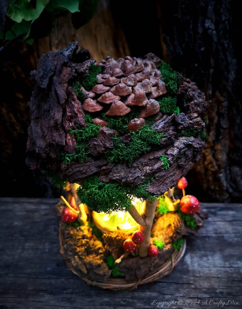 Get ready to enter a world of enchantment as we craft a one-of-a-kind DIY fairy lantern using foraged finds. We&rsquo;ll show you how to build a whimsical and enchanting lantern that captures the essence of the forest from scratch. Whether you're looking to add a little magic to your decor or just get closer to nature, this simple tutorial will take you through the entire process.