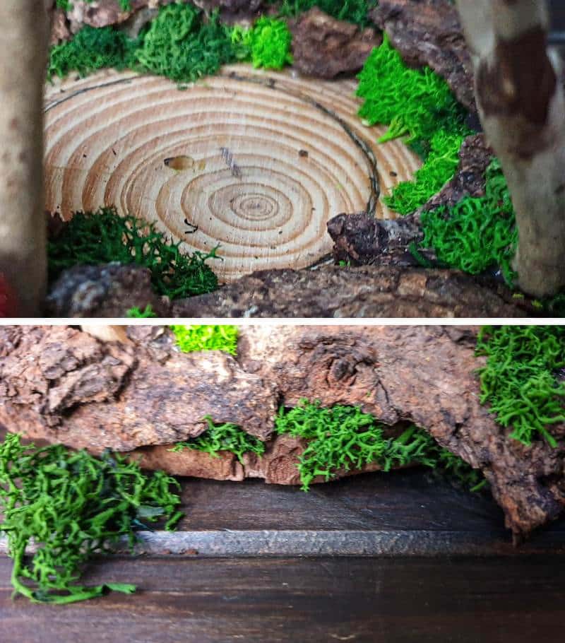 Moss is a wonderful way to hide big gaps and create that fantasy eefct