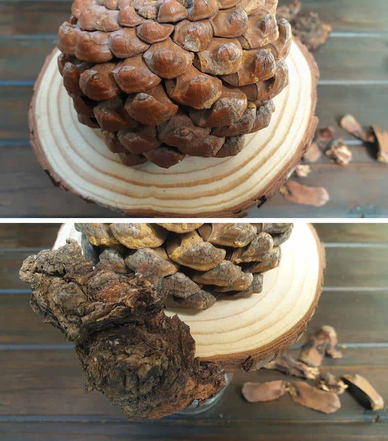 Use a pinecone to create height on top of the DIY fairy lantern.