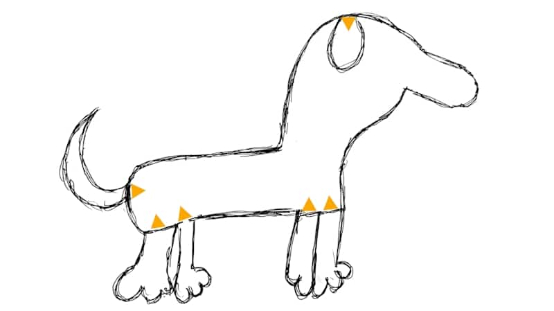Step 3 - mark the legs ears and tail
