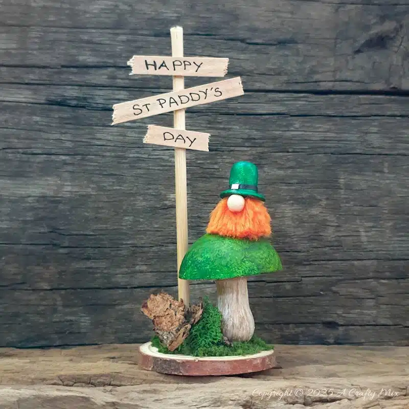 Have we got a fun, festive craft idea to bring a touch of Irish charm to our decor! I’ll show you how to make these place cardholders with tiny leprechauns, a polystyrene ball mushroom, and a signpost. Not only will these adorable little accents add a pop of color to your table, but they're super simple to make too.Have we got a fun, festive craft idea to bring a touch of Irish charm to our decor! I’ll show you how to make these St. Patrick's Day place cardholders with little leprechauns, a polystyrene ball mushroom, and a signpost. Not only will these adorable little accents add a pop of color to your table, but they're super simple to make too.