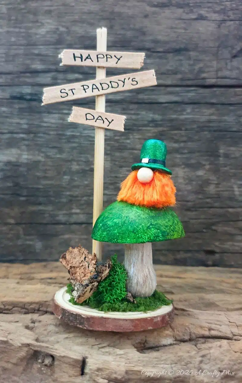 Have we got a fun, festive craft idea to bring a touch of Irish charm to our decor! I’ll show you how to make these place cardholders with tiny leprechauns, a polystyrene ball mushroom, and a signpost. Not only will these adorable little accents add a pop of color to your table, but they're super simple to make too.Have we got a fun, festive craft idea to bring a touch of Irish charm to our decor! I’ll show you how to make these St. Patrick's Day place cardholders with tiny leprechauns, a polystyrene ball mushroom, and a signpost. Not only will these adorable little accents add a pop of color to your table, but they're super simple to make too.Have we got a fun, festive craft idea to bring a touch of Irish charm to our decor! I’ll show you how to make these St. Patrick's Day place cardholders with little leprechauns, a polystyrene ball mushroom, and a signpost. Not only will these adorable little accents add a pop of color to your table, but they're super simple to make too.