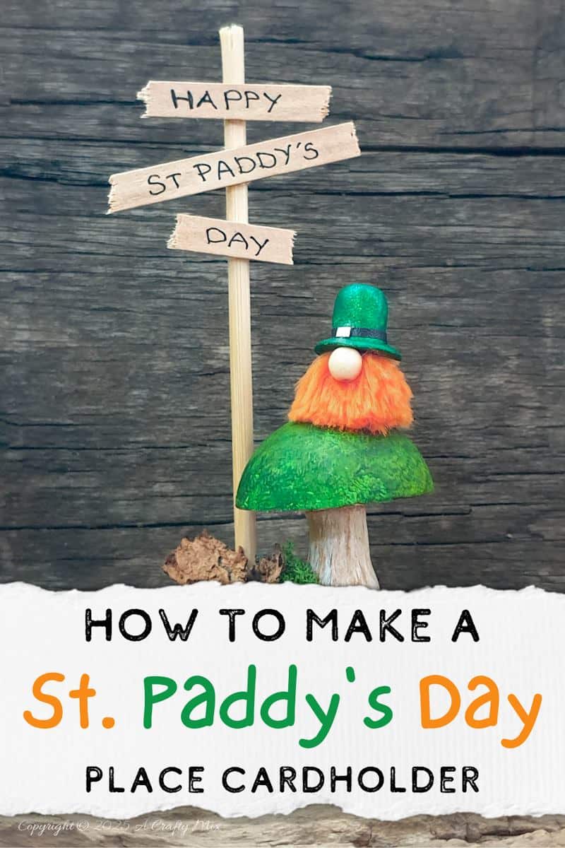 Have we got a fun, festive craft idea to bring a touch of Irish charm to our decor! I&rsquo;ll show you how to make these St. Patrick's Day place cardholders with tiny leprechauns, a polystyrene ball mushroom, and a signpost. Not only will these adorable little accents add a pop of color to your table, but they're super simple to make too.Have we got a fun, festive craft idea to bring a touch of Irish charm to our decor! I&rsquo;ll show you how to make these St. Patrick's Day place cardholders with little leprechauns, a polystyrene ball mushroom, and a signpost. Not only will these adorable little accents add a pop of color to your table, but they're super simple to make too.