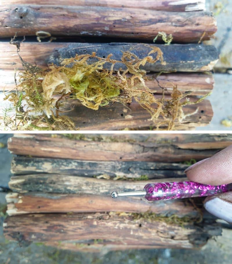 Fill any gaps with moss