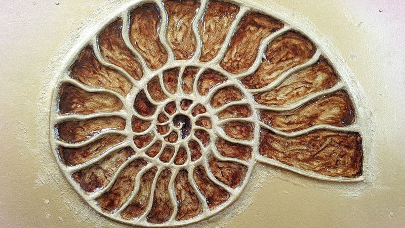 A picture of the ammonite inlay after adding the first layer of resin