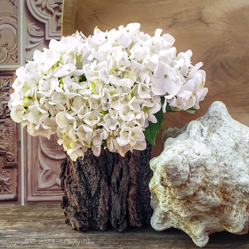 A quick and easy tutorial that will show you how to recycle a tin can and make a twig (or bark) vase. It&rsquo;s perfect as wedding d&eacute;cor or to bring a little nature into your home. We also share our top tips for keeping tulips fresh for longer