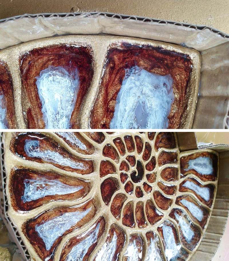 Glue the cardboard around the ammonite inlay to form a border