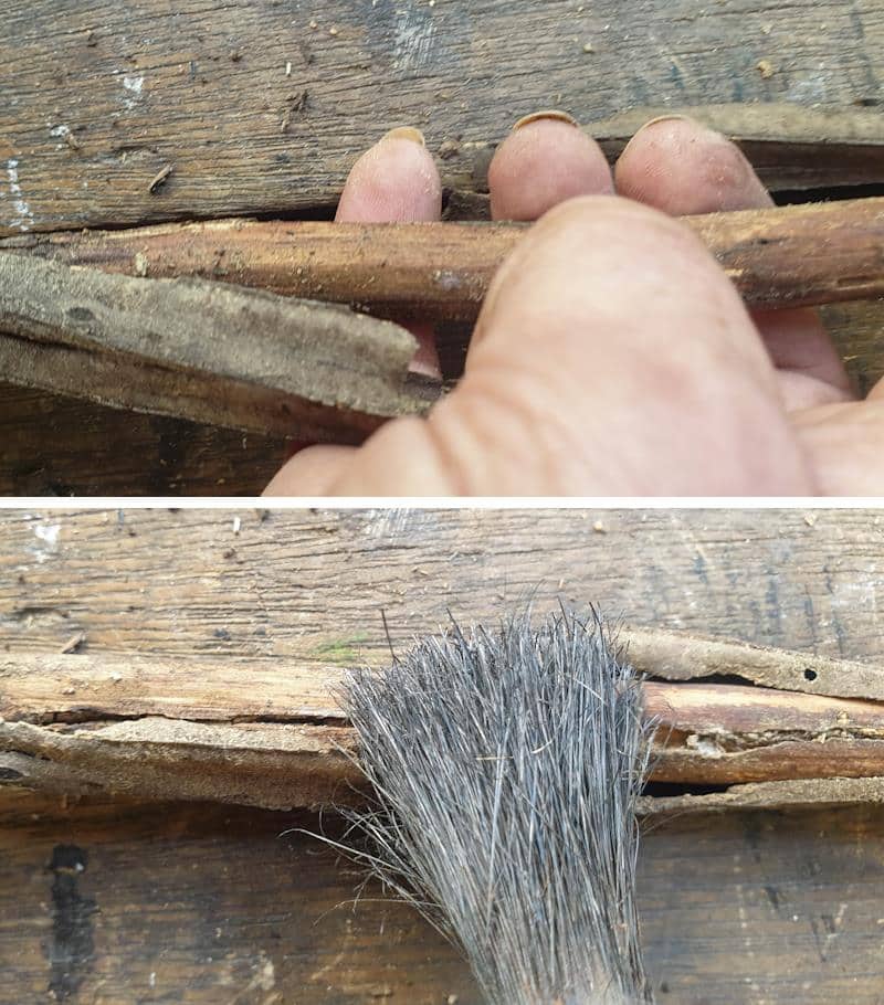 Clean the twigs to get rid of any creepy crawlies and dirt.