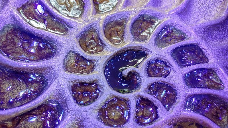 Cure the resin under a UV light