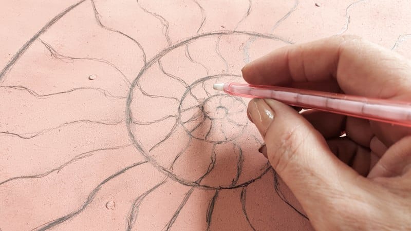 Draw a large ammonite on the tabletop