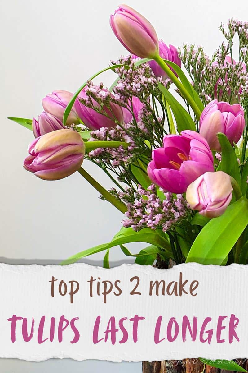 Welcome to how to keep Tulips Fresh for Longer 101. I share my top tips for keeping these gorgeous Spring flowers looking beautiful for as long as possible. Plus, there&rsquo;s a bonus tutorial that will show you how to recycle a tin can and make a twig vase. It&rsquo;s perfect as wedding d&eacute;cor or to bring a little nature into your home.