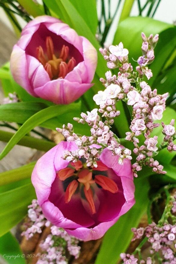 Welcome to how to keep Tulips Fresh for Longer 101. I share my top tips for keeping these gorgeous Spring flowers looking beautiful for as long as possible. Plus, there’s a bonus tutorial that will show you how to recycle a tin can and make a twig vase. It’s perfect as wedding décor or to bring a little nature into your home.