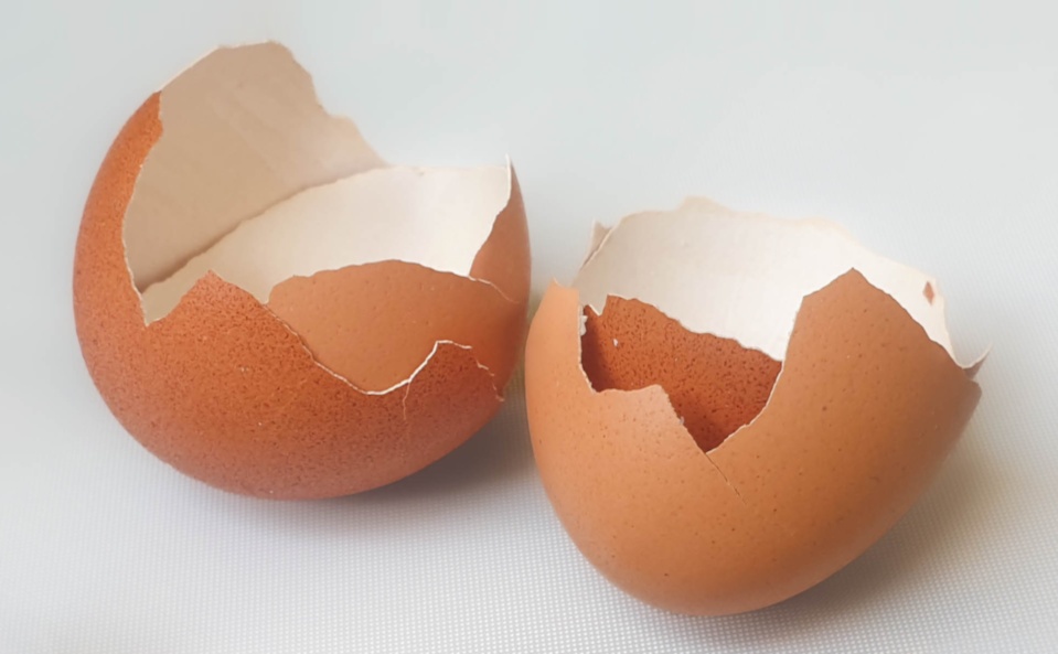 Rinse the empty eggshells in warm, soapy water and gently remove the inner membrane. Leave the shells to dry completely on a paper towel before painting, cutting, or gluing them.