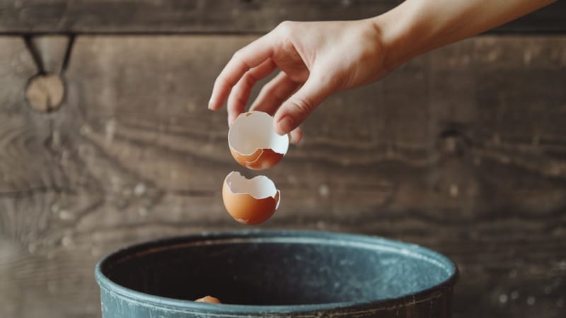 Don&rsquo;t toss those eggshells-transform them. Beginner guide to durable, eye-catching mosaics with no grout or fancy tools needed."