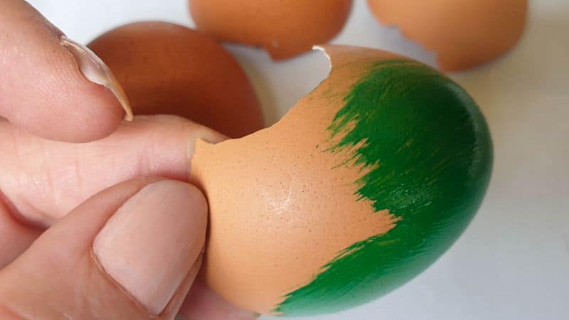 Paint the whole eggshells in a color of your choice