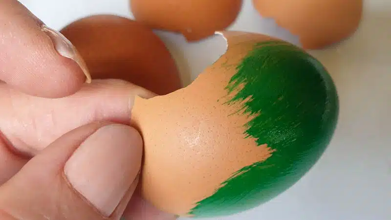 Paint the whole eggshells in a color of your choice