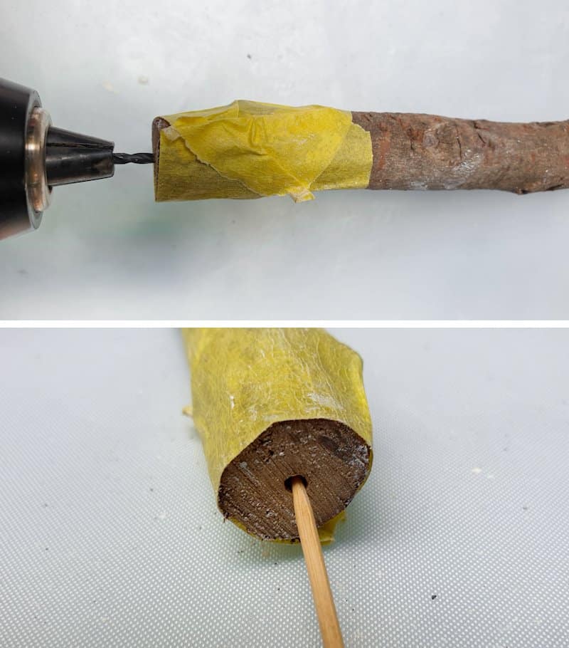 Drill a small hole in the branch and insert the toothpick