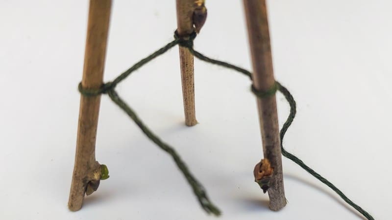 Wrap the embroidery thread around the back leg and tie it off on the front leg