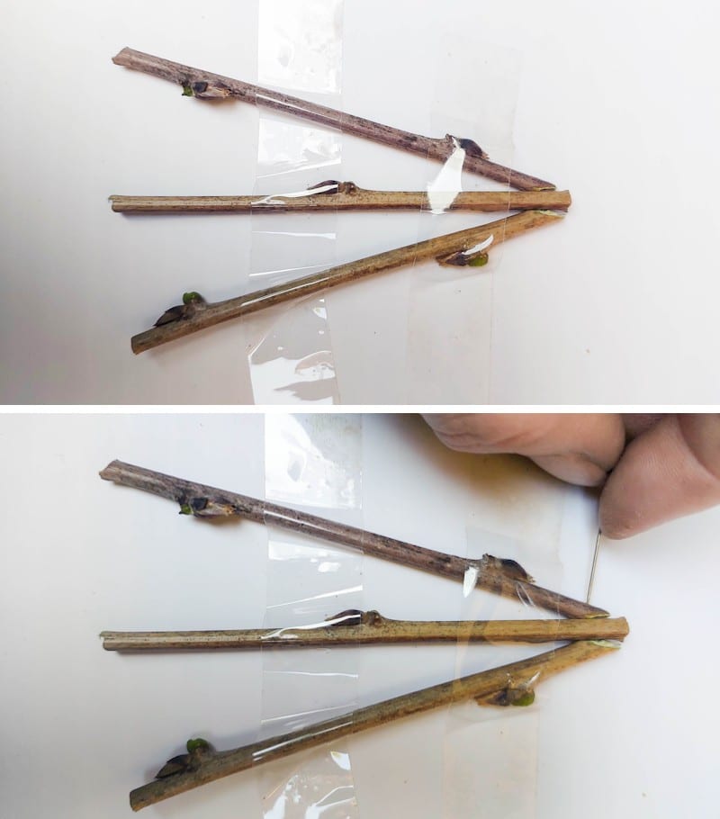 Tape the legs of the fairy easel down