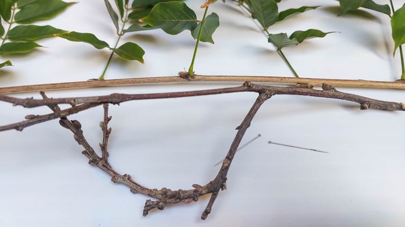 What you need to make magical fairy easel