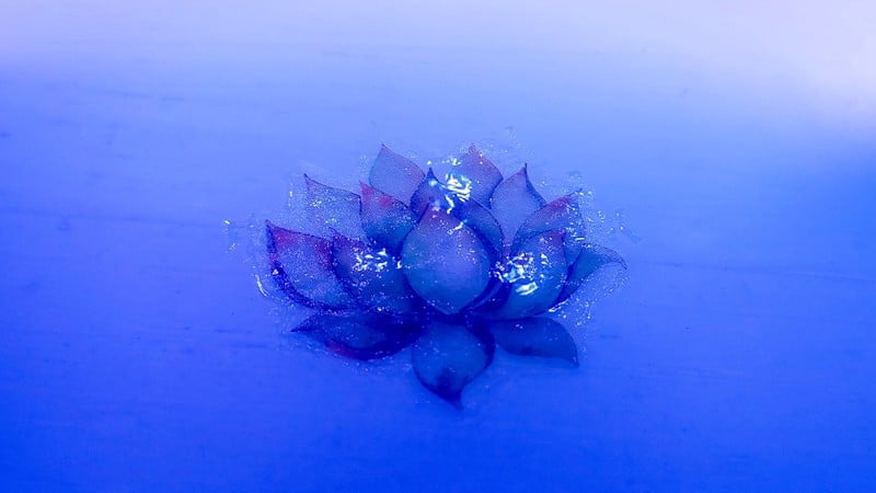 Cure the clear top coat under a UV light