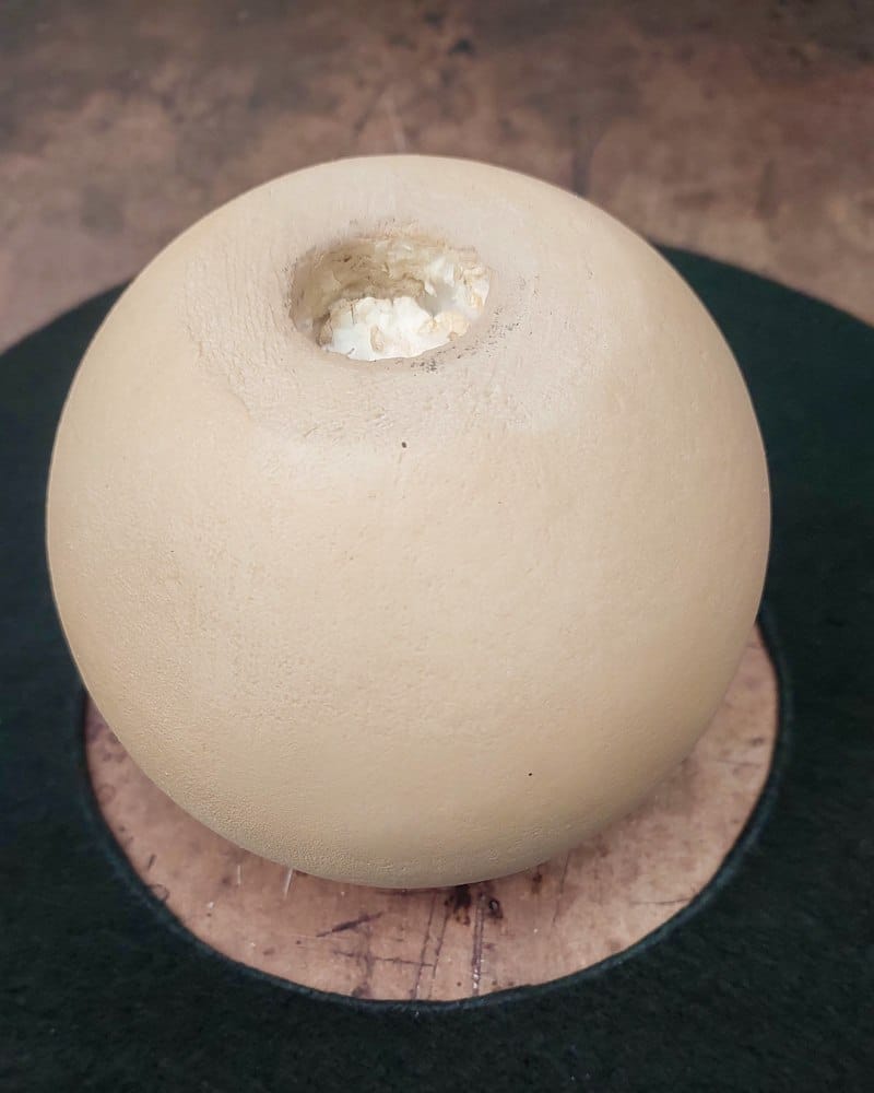 Cut a smaller circle inside the larger one. You should end up with a donut shape