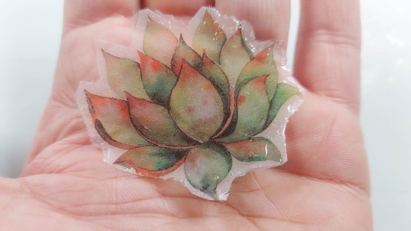 The watercolor succulent after giving it a few coats of clear gel nail polish