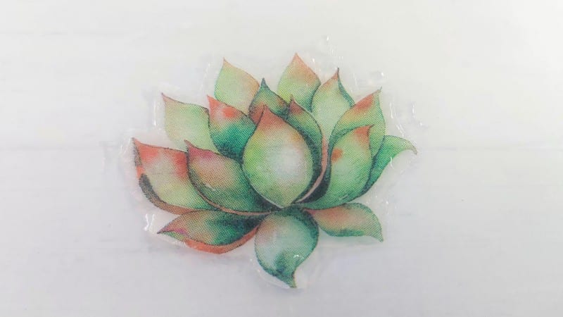 Create your own whimsical watercolor-inspired succulent garden and instantly brighten any corner of your home—no watering required. This beginner-friendly DIY brings the beauty of hand-painted cacti and succulents indoors, adding a playful splash of color and artistic charm to your shelves, desks, or windowsills. Perfect for plant lovers, gift-giving, or anyone who loves easy, creative décor.