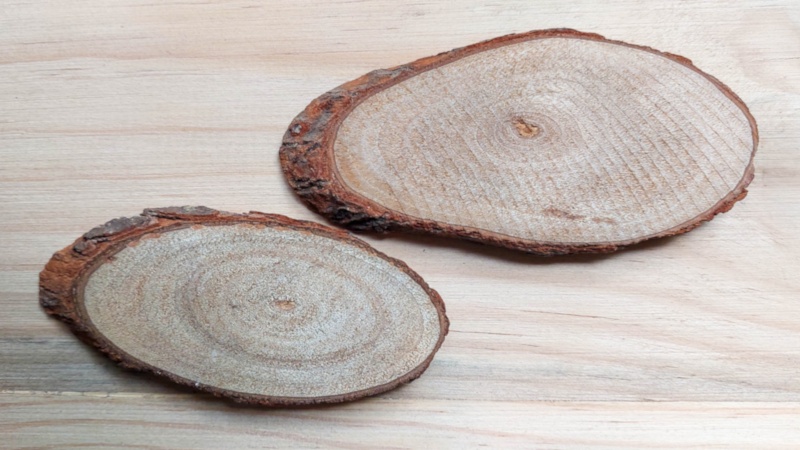 Two wood slices that have been cut at an angle